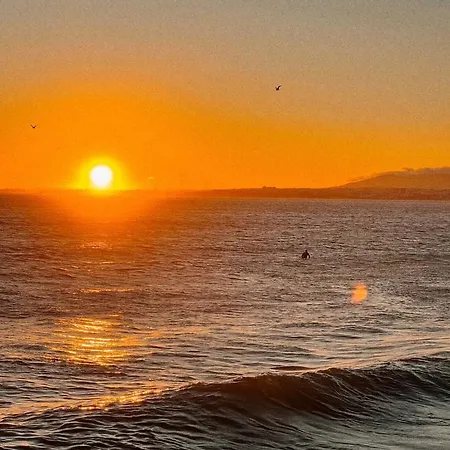 Ton's Loft 3 Mins To The דירה קוסטה דה קפאריקה